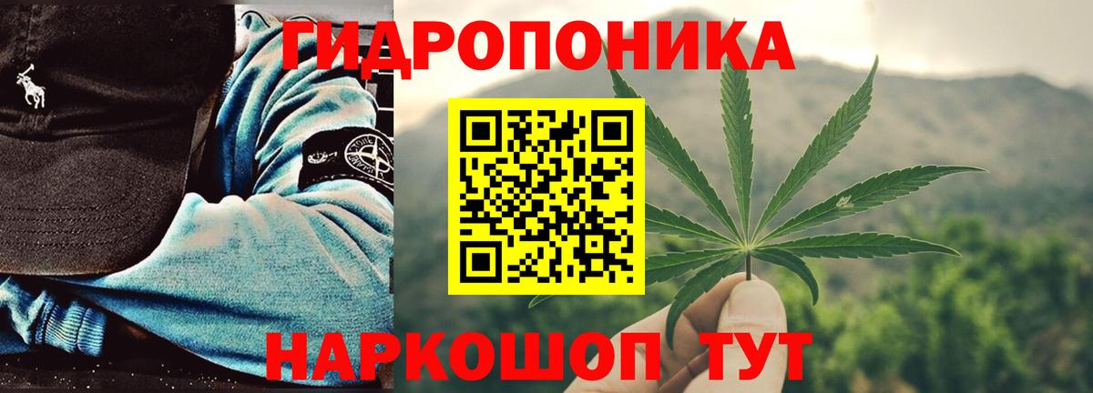 Назрань  Конопля LSD WEED  Вход с VPN  Бошки Шишки конопля  МАРИХУАНА сатива 